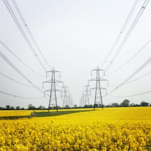 Pylons by Lo IMG_0758